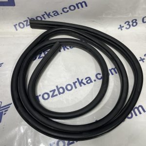 Ущільнювач дверей передніх FORD KUGA MK1 08-12