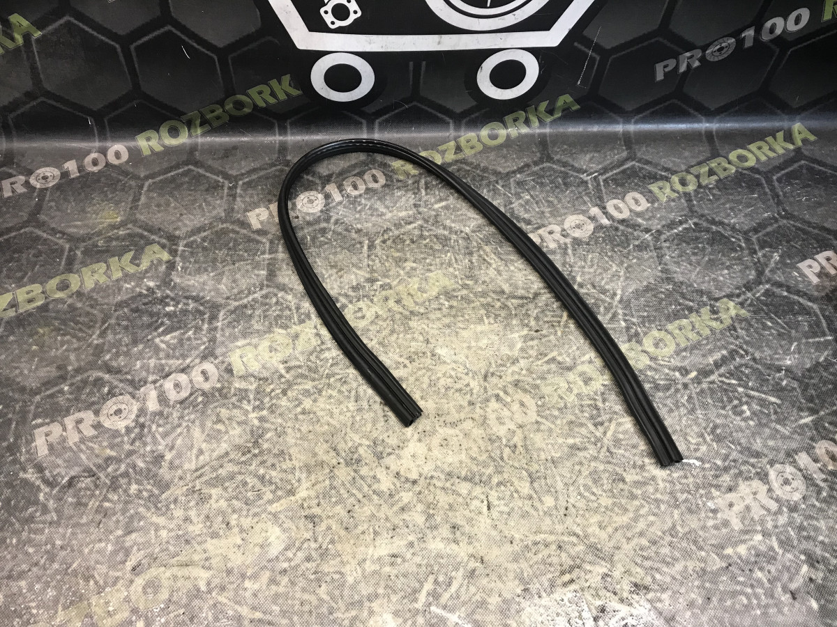 Ущільнювач капоту FORD Focus MK3 (11-18)