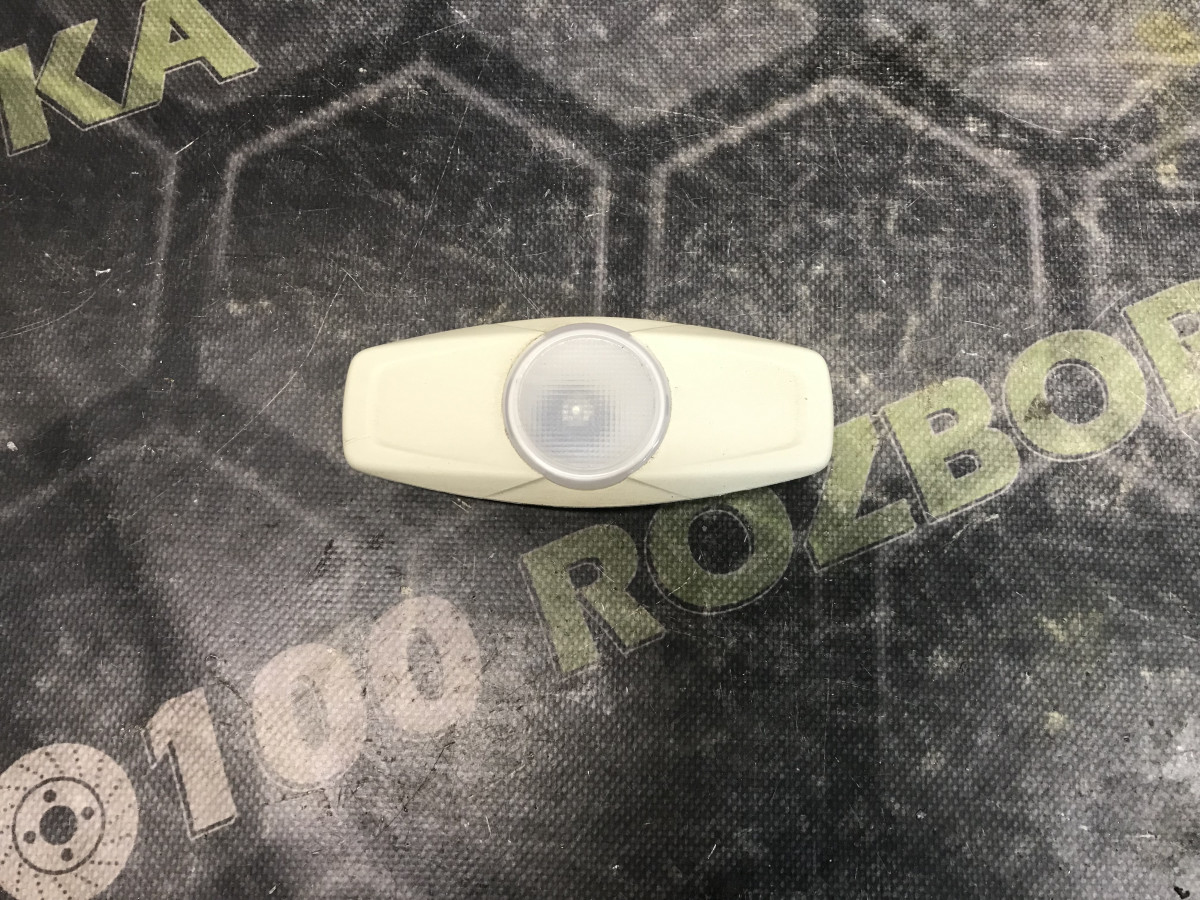 Плафон стелі Ford Focus MK3 (11-18)