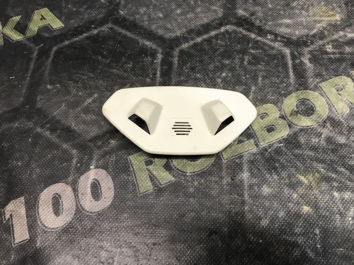 Накладка плафону стелі Ford Focus MK3 (11-18)