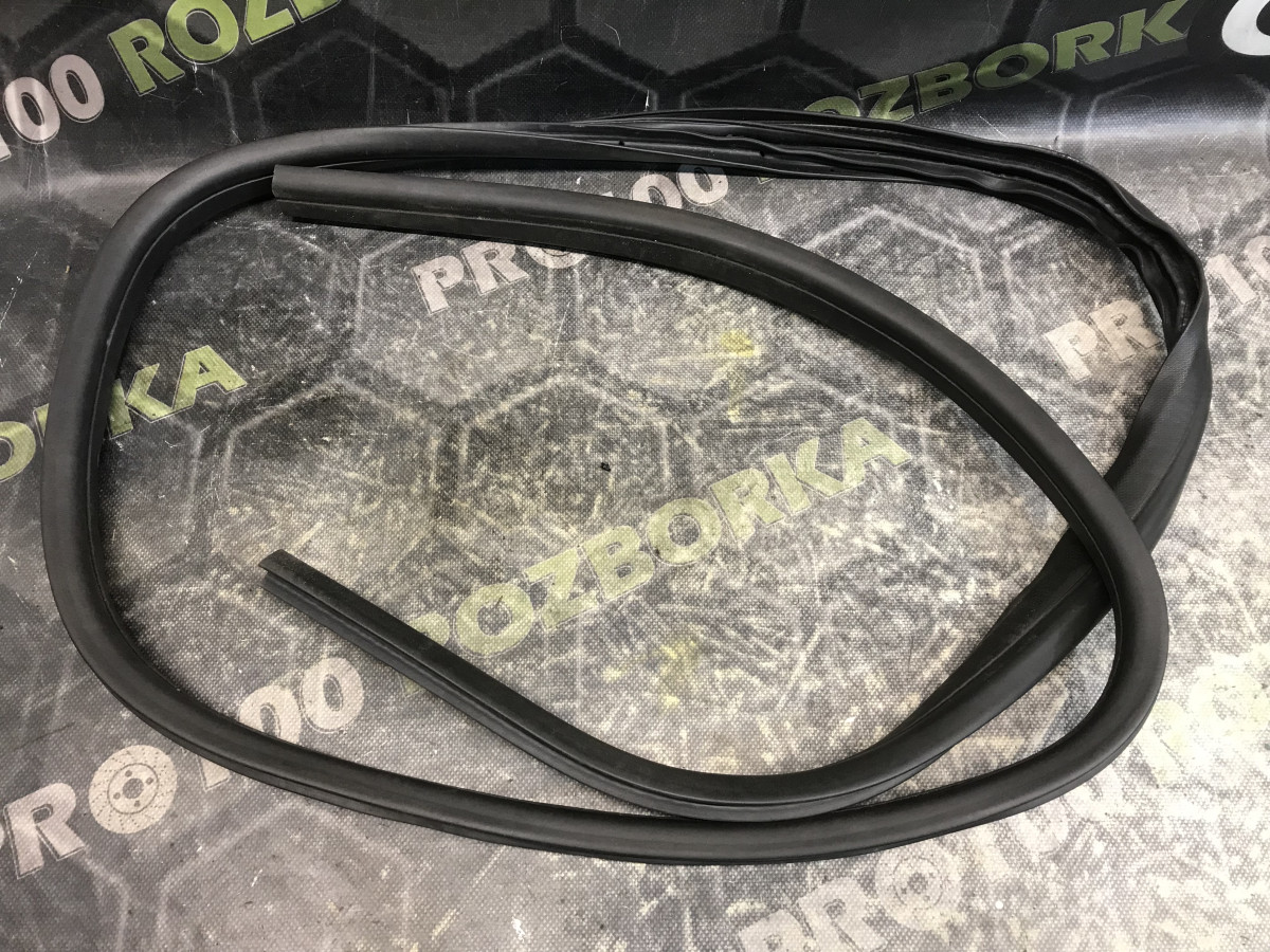 Ущільнювач задніх дверей хетчбек FORD Focus MK3 (11-14)