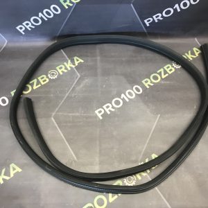 Ущільнювач дверей задніх правих FORD Mondeo MK4 (BA7) 07-14